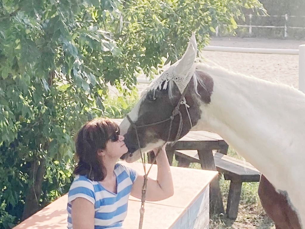 injured-horse-ein-jahr-sp-ter-pferd-als-lehrer